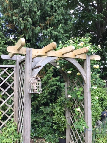 rose arch