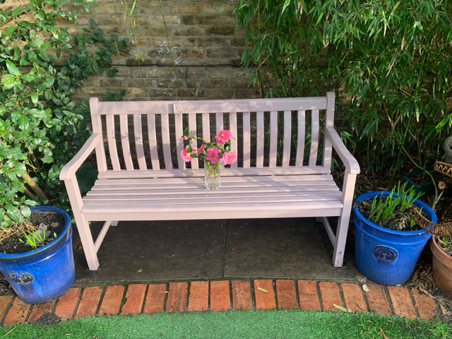 Scarlett's Bench