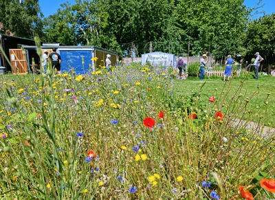 Community Garden