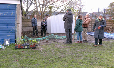 Community Garden