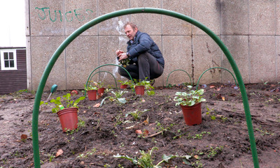 Community Garden