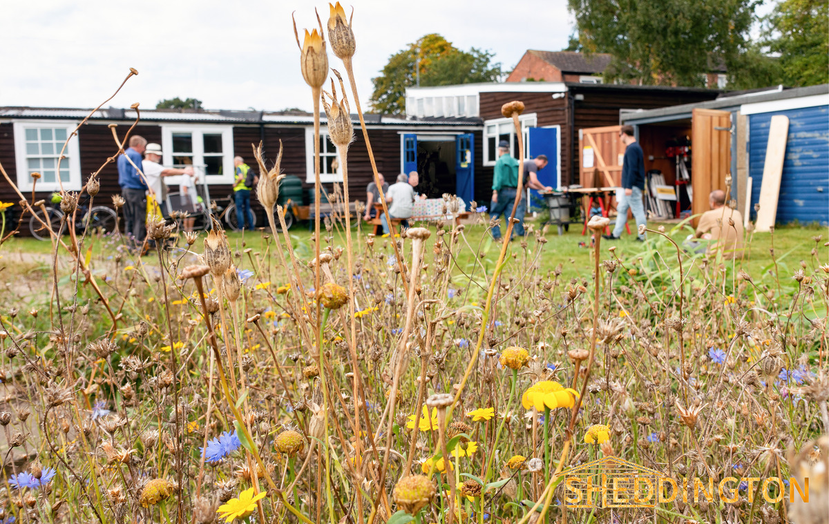 Shed