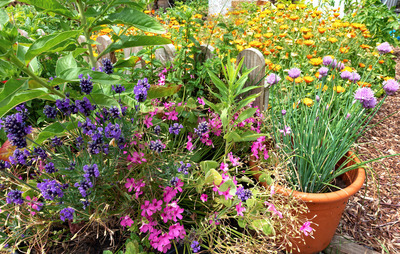 Community Garden