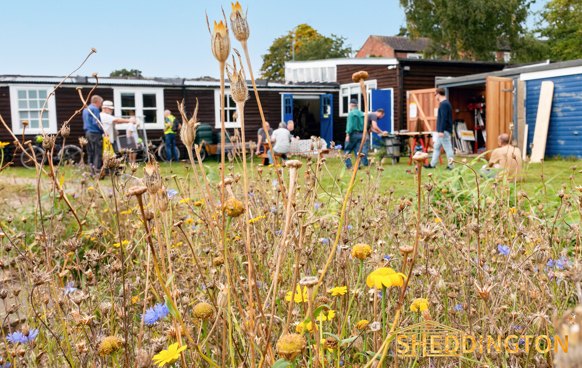 Shed