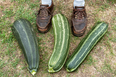 5 - Community Garden