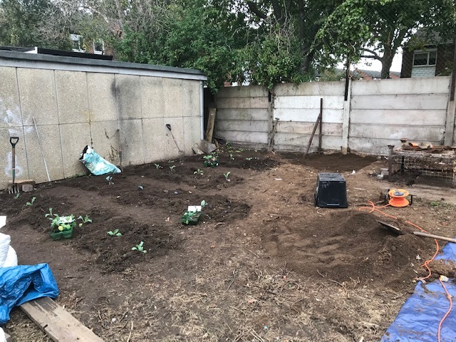 Allotment Beds